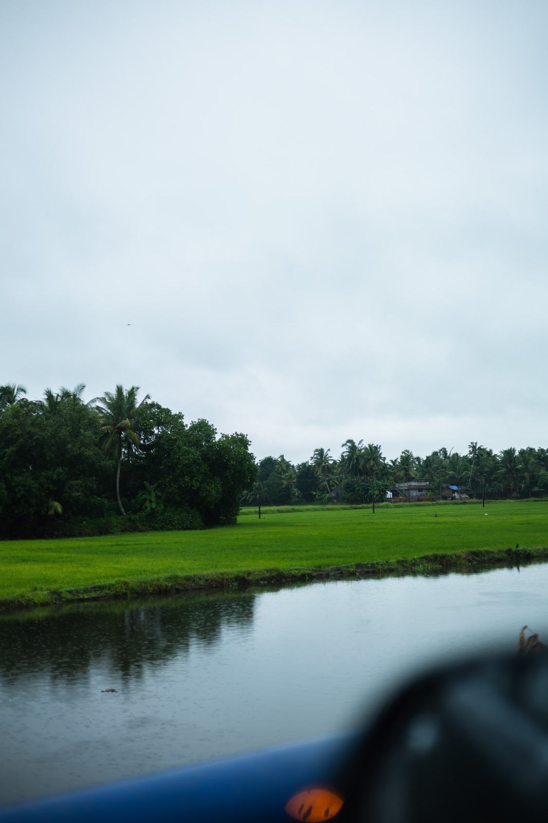 A quiet backwater canal beside green paddy fields in Kerala