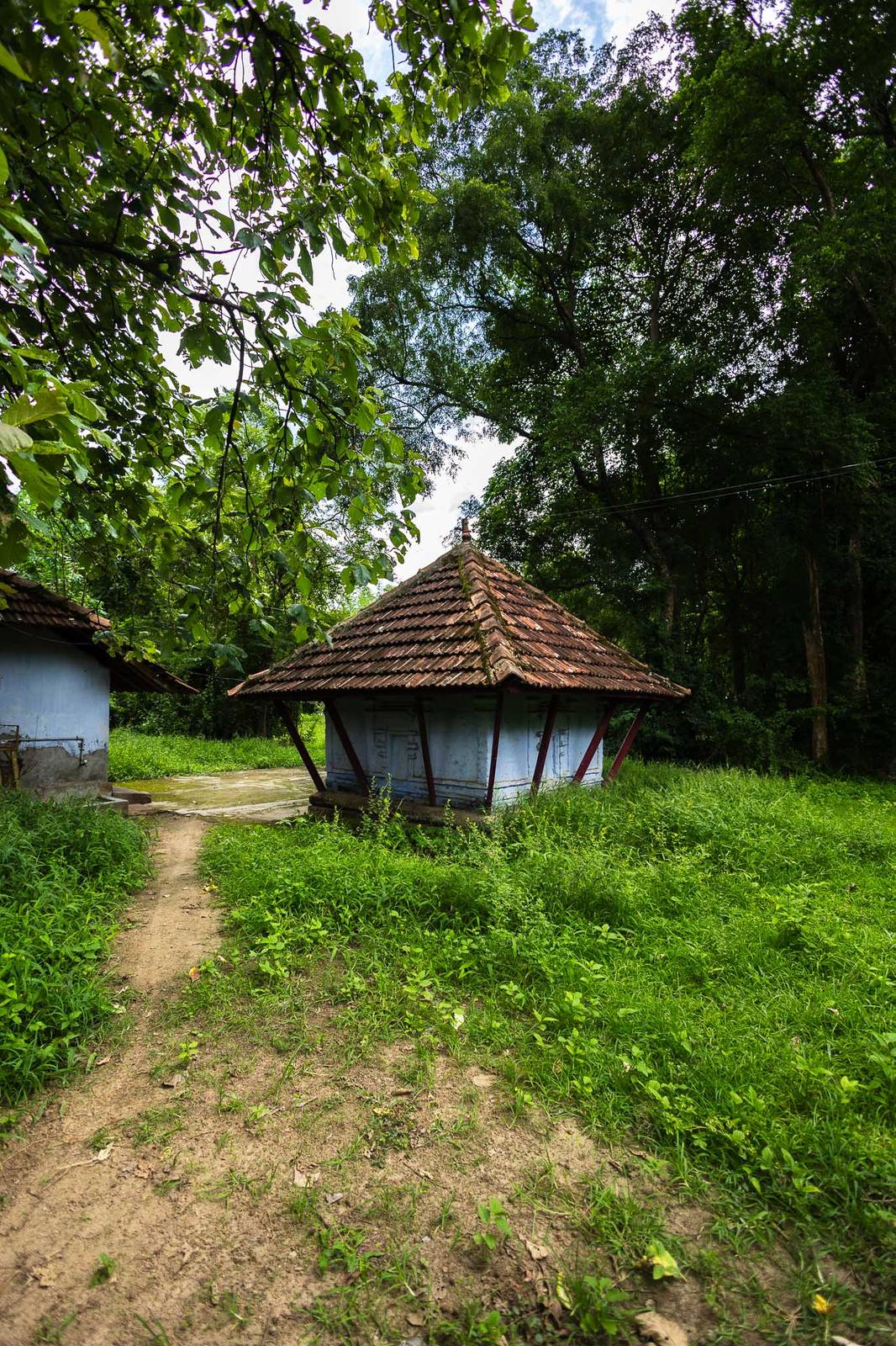 A blue laterite-roofed shrine in a forest clearing