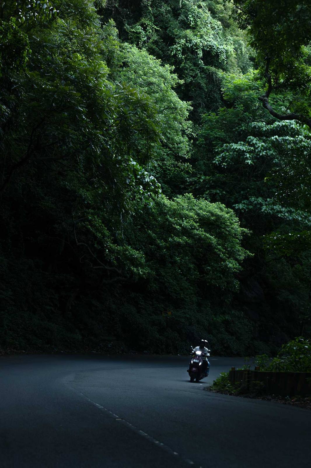 A scooter descending a dark jungle road in Kerala